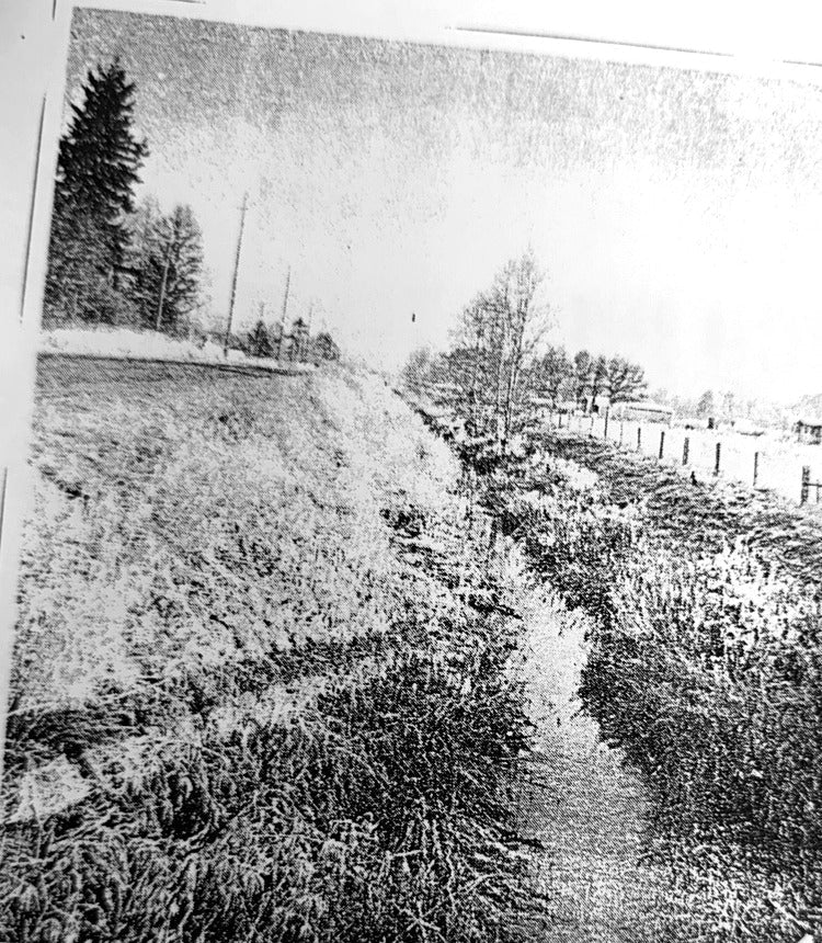 Historic China Ditch in Hockinson looking north along Northeast 172nd Avenue