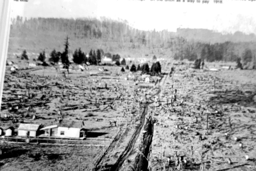Historic rural Hockinson landscape illustrating the farm country associated with early agricultural work
